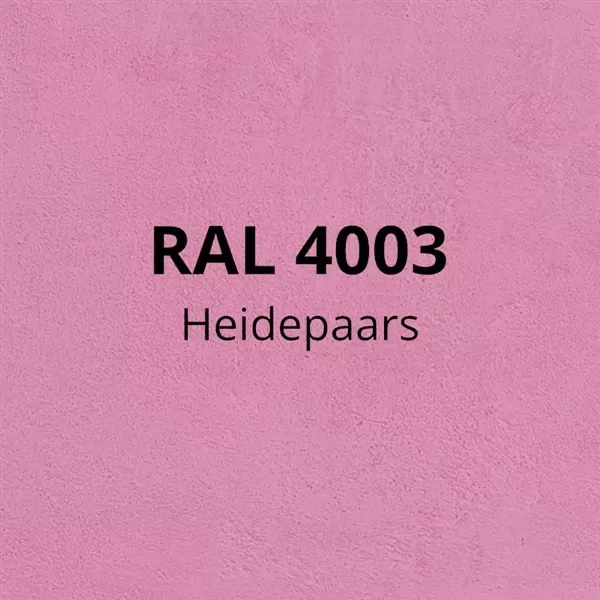 RAL 4003 - Heidepaars