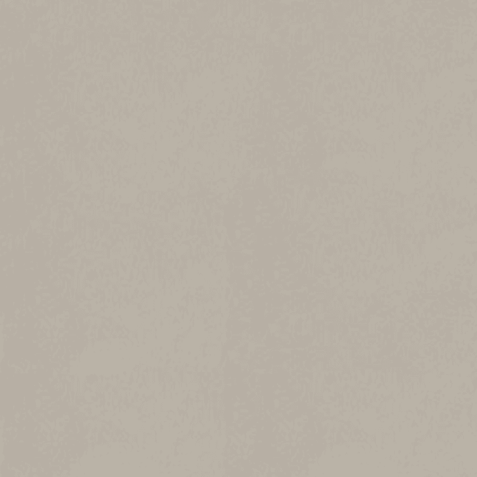 Warm Grey 2