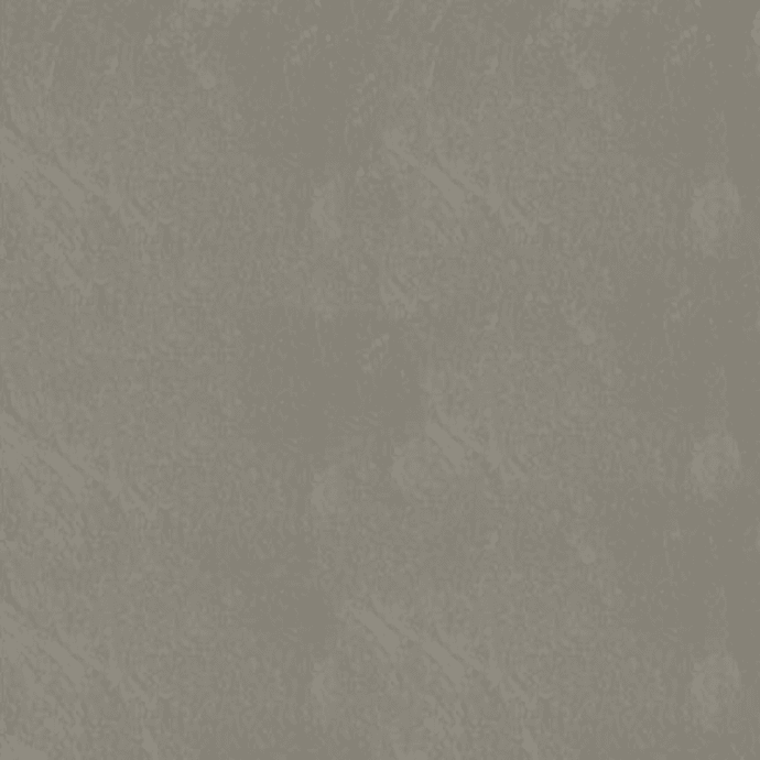 Warm Grey 4
