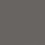 Warm Grey 5