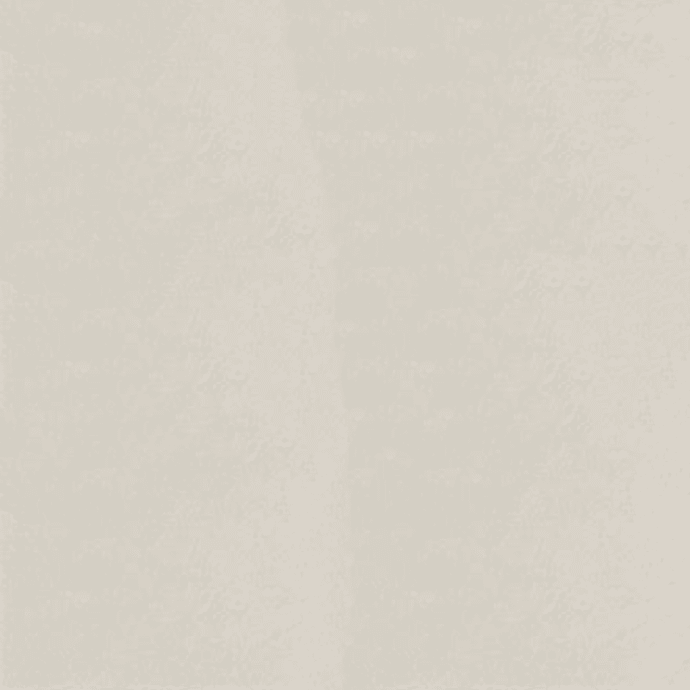 Warm Grey 1