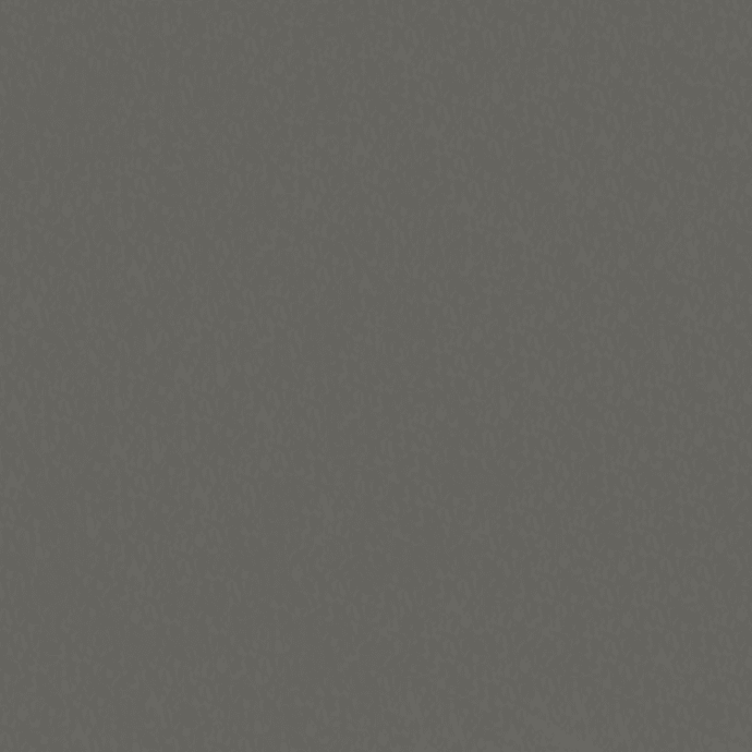 Warm Grey 5