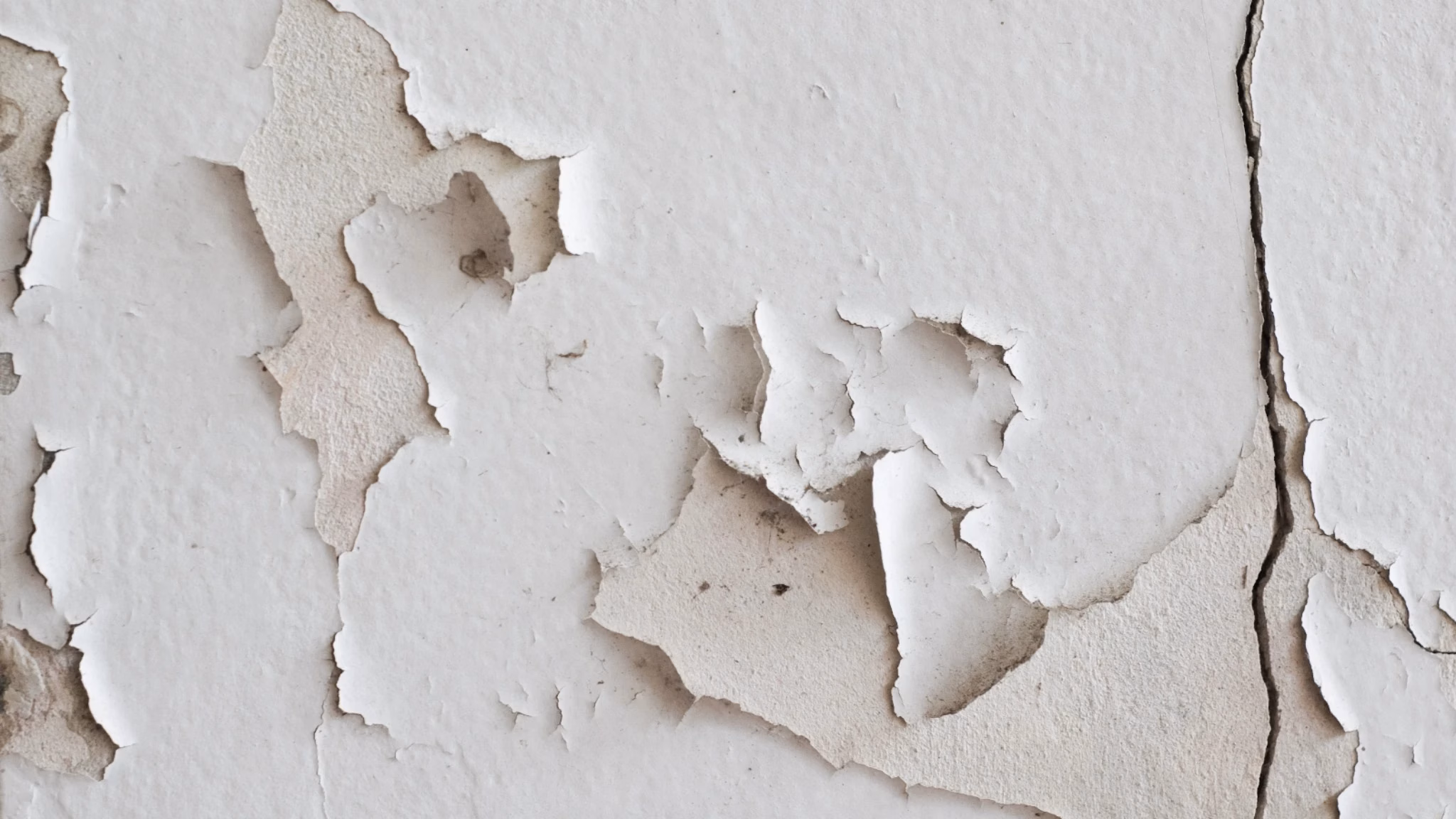 cracked plaster